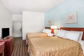 Super 8 by Wyndham Knoxville Downtown Area - Image 3