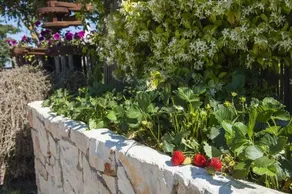 B&B Trulli Valle D'itria - Image 2