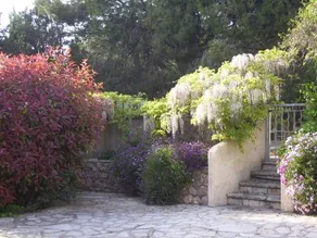 Le Paradis De Valerie - Image 5