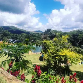 Sitio do jaco - Image 5