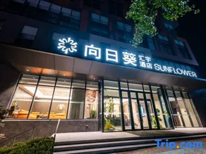 SUNFLOWER HOTEL - Image 4