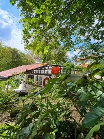 Orehite-Family Hotel ,Food & Pool - Image 4