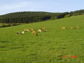 Ferienwohnung Kamitter - Image 3