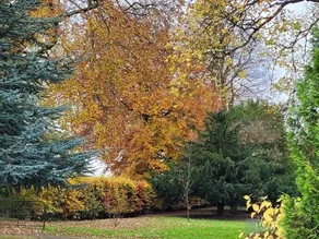 Fleetham Lodge - Image 3