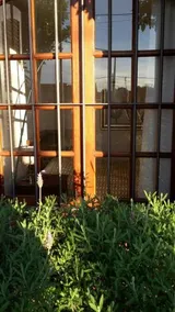 Apartamento en Casa Roble - Image 2