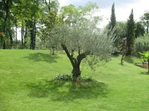 Le Mas du Fort - Image 2