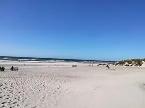 Casa de férias de 5 estrelas em Henne - Image 4