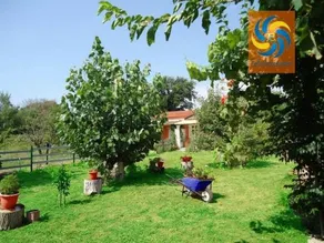 Errika - Image 4