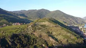 Lugerfarm - Image 3