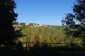 Fattoria La Guedrara - Image 5