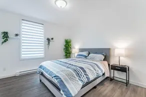 Plaza apartments - Image 5
