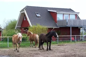 Urlaub auf dem Bauernhof - Image 5