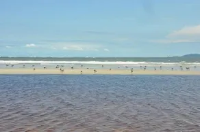 Pousada Praia Mansa Superagui - Image 2
