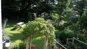 Plas I Fan - Image 5