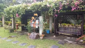 Little Amazon Home - Image 3
