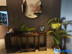 Jinwan - Image 2