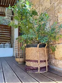 Maistros Holiday Home - Image 5