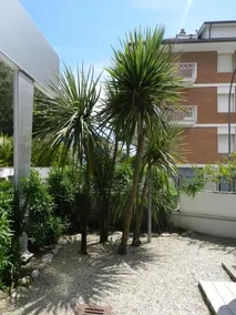 Residence Dolce Vita - Image 3