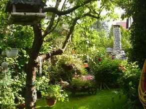 Ferienwohnung Und Bungalow Haegema - Image 3