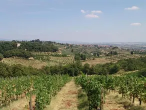 Agriturismo Podere Giuncarelli - Image 2