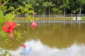 Hotel Fazenda Alamo - Image 3