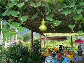 Banxianju Guesthouse - Image 5