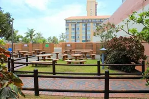 Silver Dolphin Holidays - Image 2