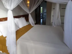Casa Splinter - Image 4