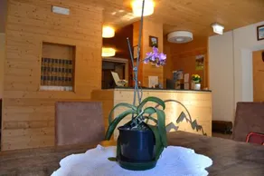 Hotel Valdigne - Image 5