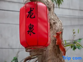 Longquan Hotel and Homestay - Image 5
