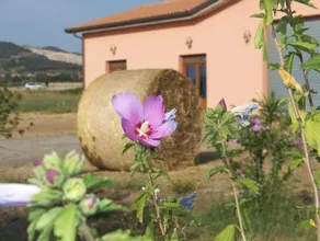 Agriturismo La Nocciolina - Image 4