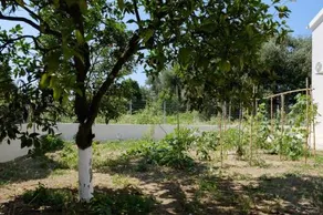 Villa Xampelo - Image 2