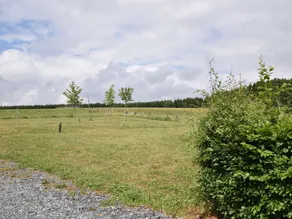 Holiday Home in Léglise near Ardennes River - Image 4