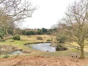 Pebble Cottage - Image 2