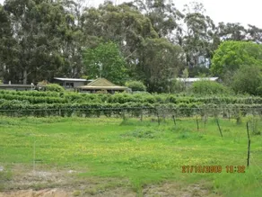 Pennyroyal Raspberry Farm & Cidery - Image 3