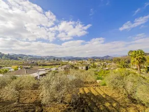 Cubo's Finca Micaela - Image 2