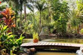 Eclectic Oasis in Doonan, Sunshine Coast - Image 4