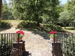Vignoli - Image 2
