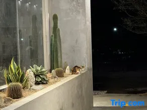 Tihu Homestay - Image 5