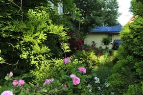 Usadba Paulinka - Image 4