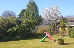 Sommerhaus in den Walddorfern - Image 3