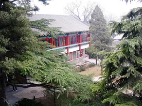 Bamboo Garden - Image 4