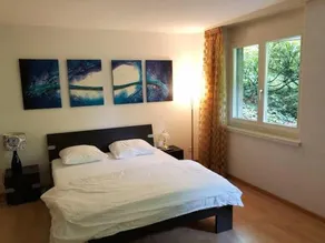 Centrally Located Spacious Modern Apartment - Image 3
