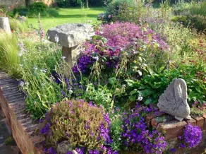 Lakeside Town Farm - Image 3