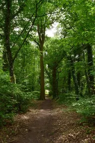 Bil-Zenn - Image 3