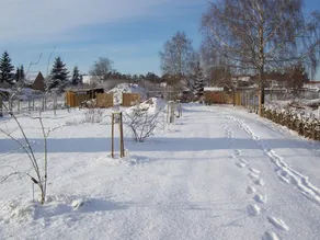 Cozy Holiday Home in Kappe With Balcony - Image 5