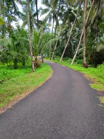 Lakshmi madhavam homestay - Image 4