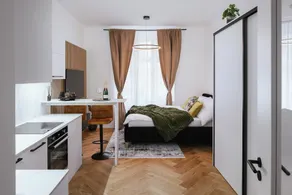 Luxury Musicians Apartment Central Praha - Image 4