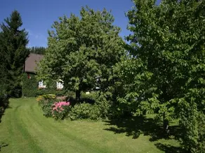 Modern Chalet Near Ski Area in Scheifling - Image 3