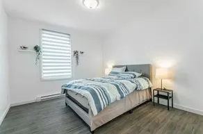 Plaza apartments - Image 2
